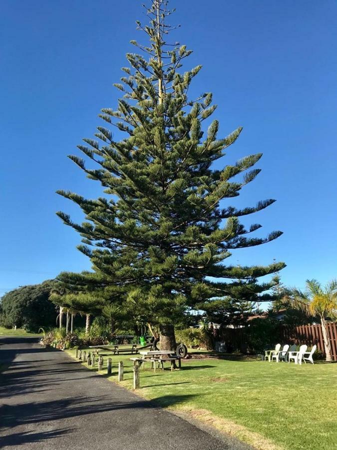 Beaches Motel Waihi Exterior photo